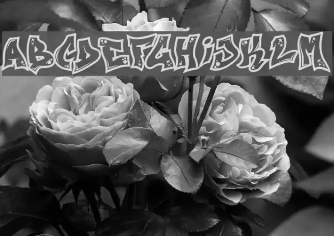 Next Custom Font examples