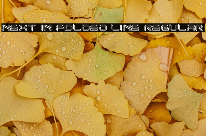 Next In Folded Line Regular Example 3