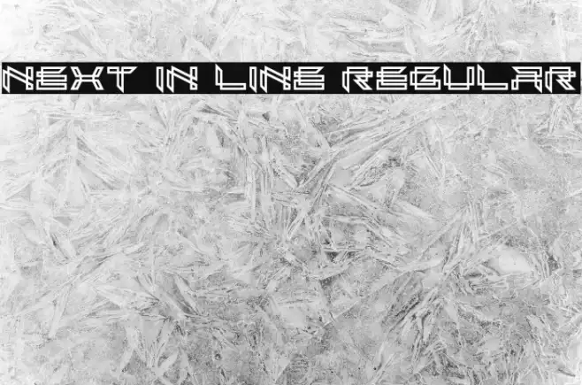 Next In Line Regular Example 3