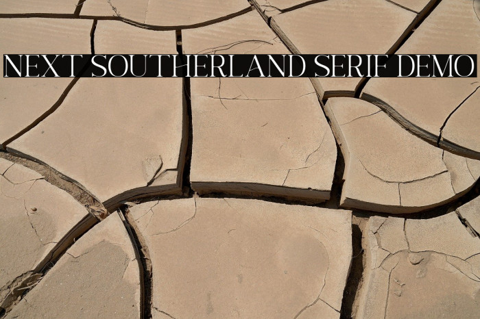 Next Southerland Serif DEMO Example 2