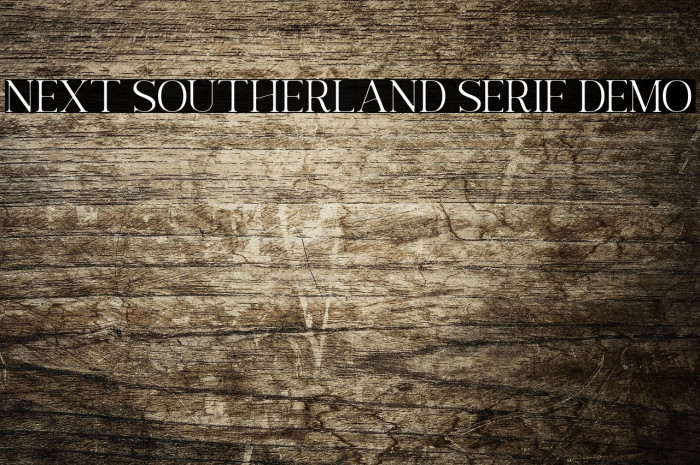 Next Southerland Serif DEMO Example 3