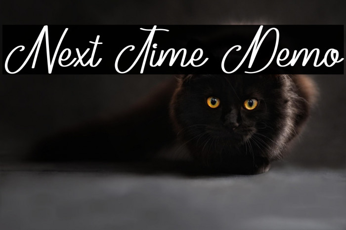 Next Time Demo Example 1