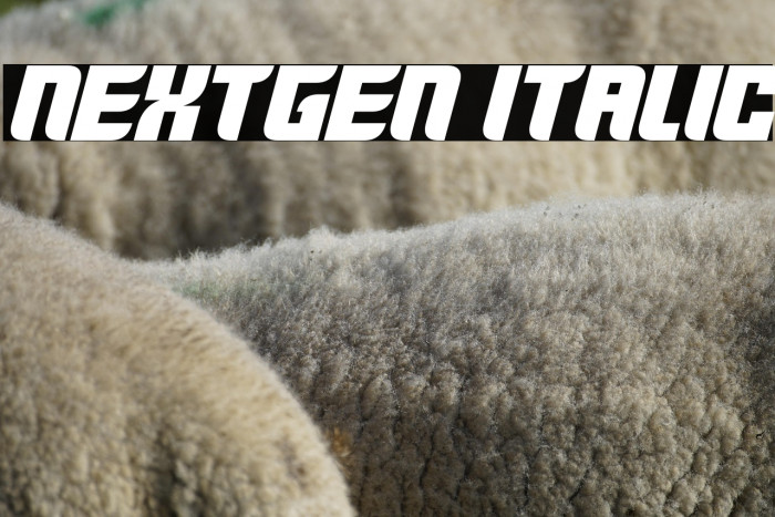 Nextgen Italic Example 2