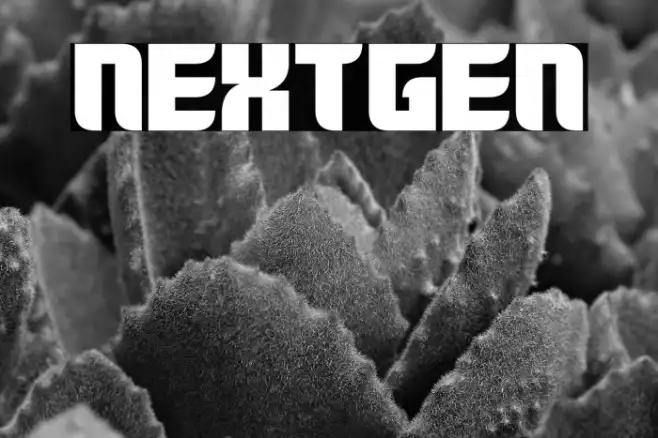 Nextgen Example 3