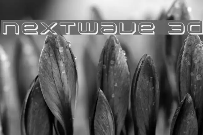 Nextwave 3D Example 1
