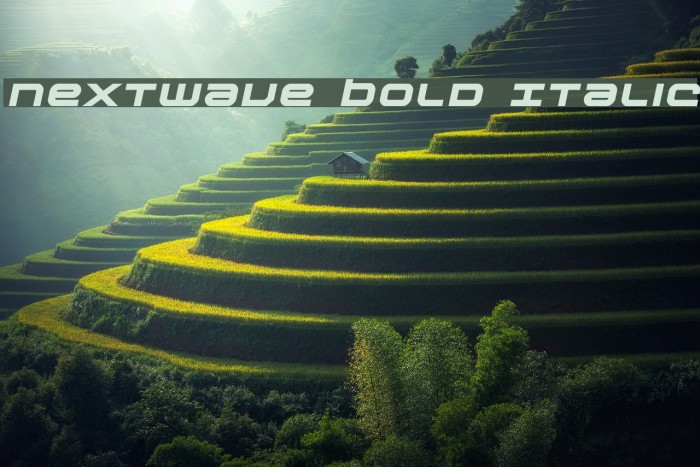 Nextwave Bold Italic Font examples
