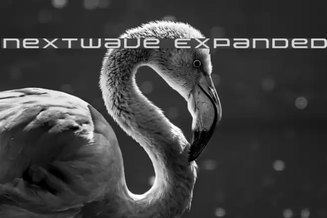 Nextwave Expanded Font examples