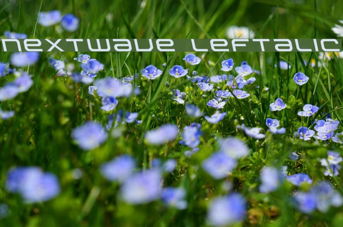 Nextwave Leftalic Font examples