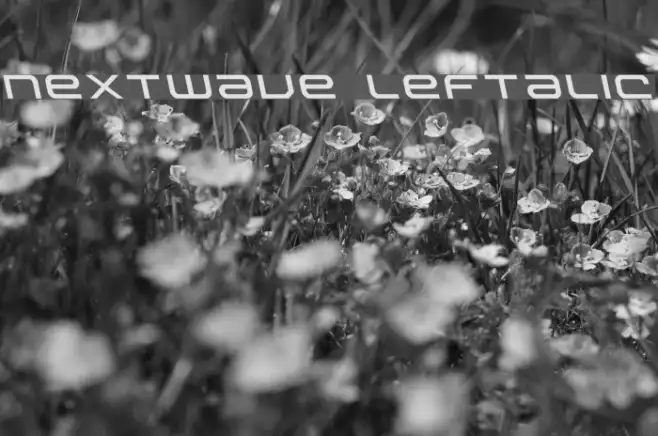 Nextwave Leftalic Example 1