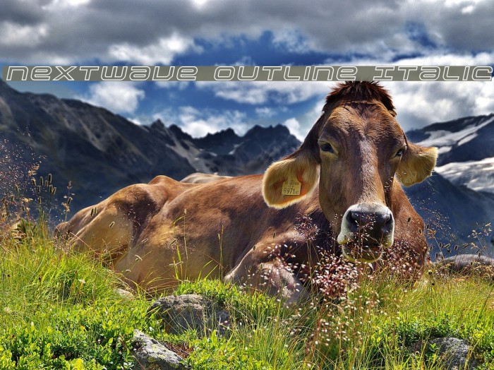 Nextwave Outline Italic Example 3