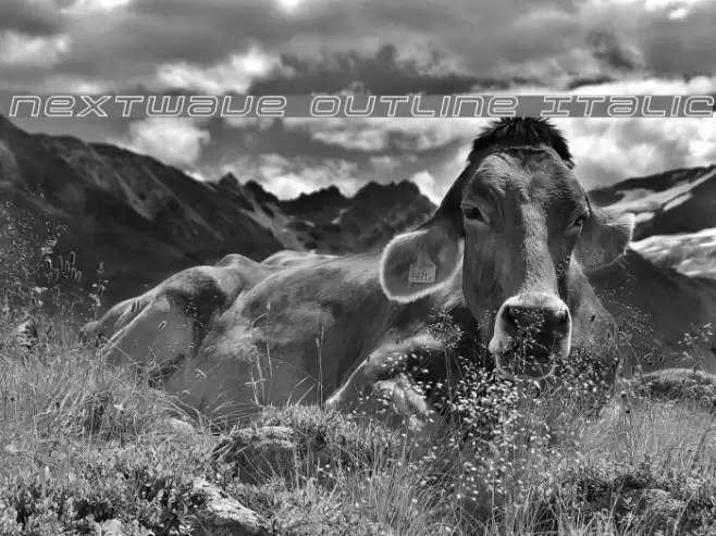 Nextwave Outline Italic Font examples