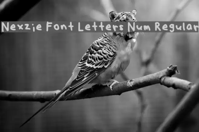 Nexzie Font Letters Num Regular Fonte examples