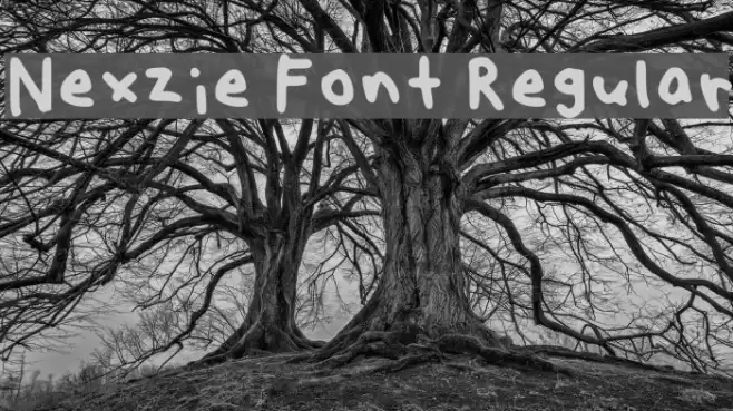 Nexzie Font Regular Font examples