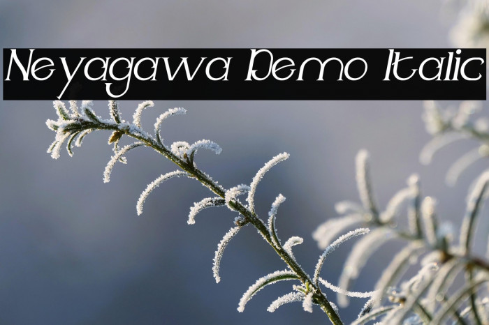 Neyagawa Demo Italic Example 2