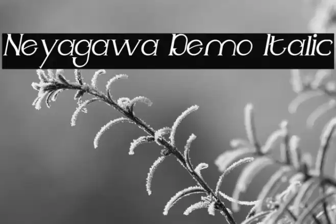 Neyagawa Demo Italic Font examples