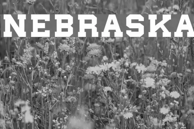 nebraska Font examples