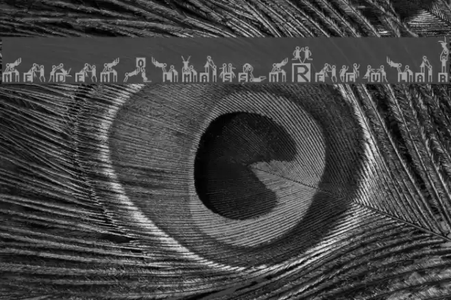 neden olmas1n Regular Font examples