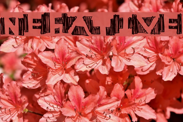 negative Font examples
