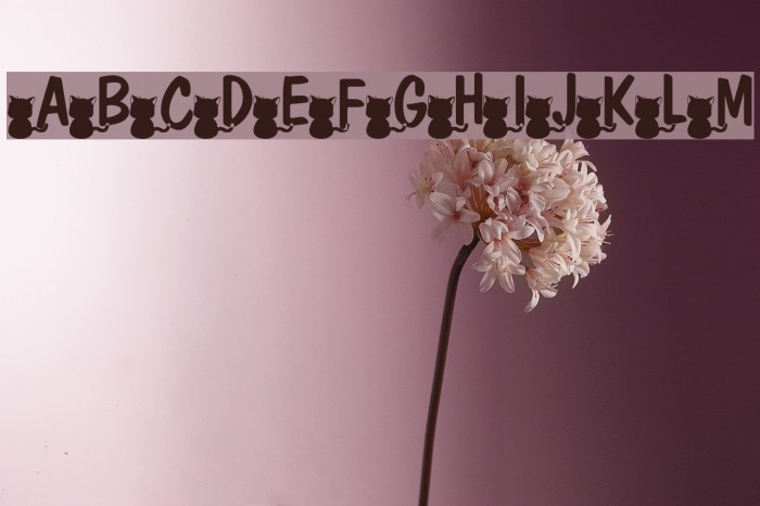 nekoFont Font examples