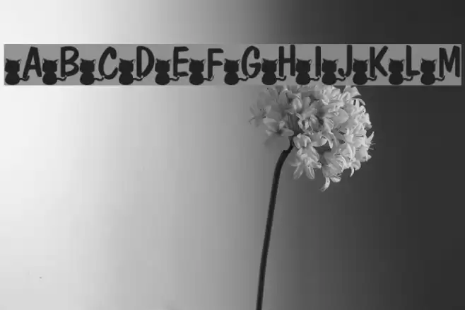nekoFont Fuentes examples