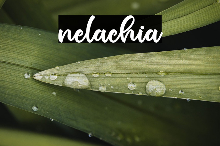 nelachia Example 2