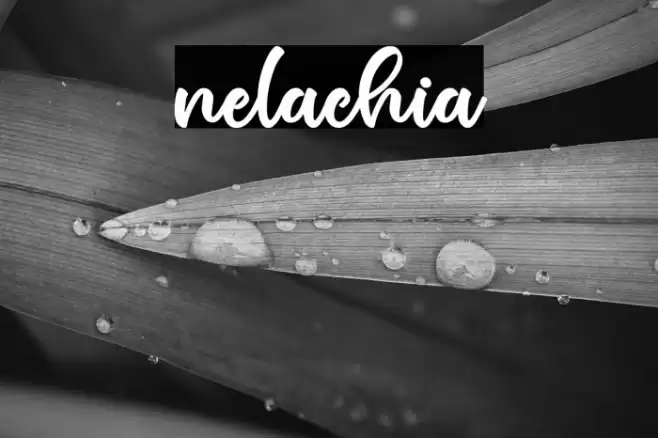 nelachia Font examples