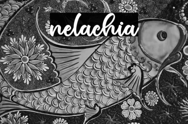nelachia Font examples