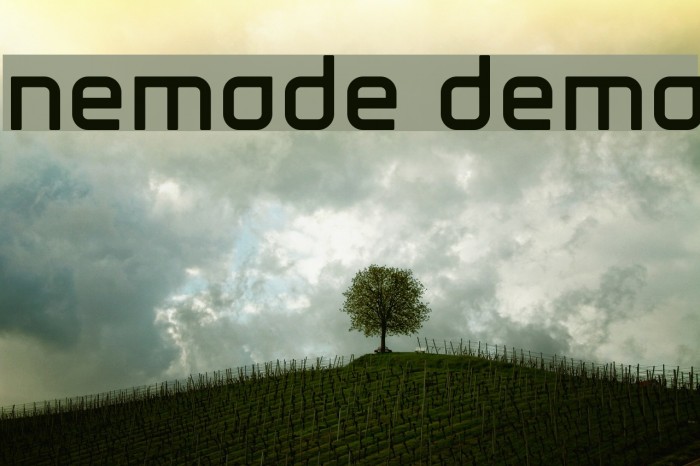 nemode demo Font examples