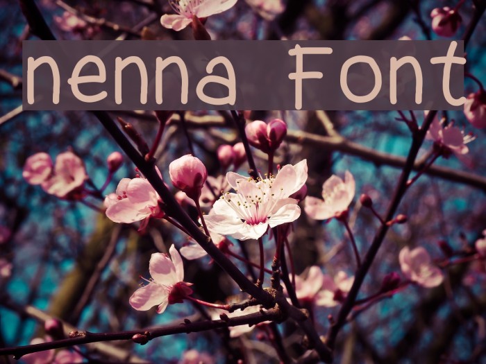 nenna Font examples