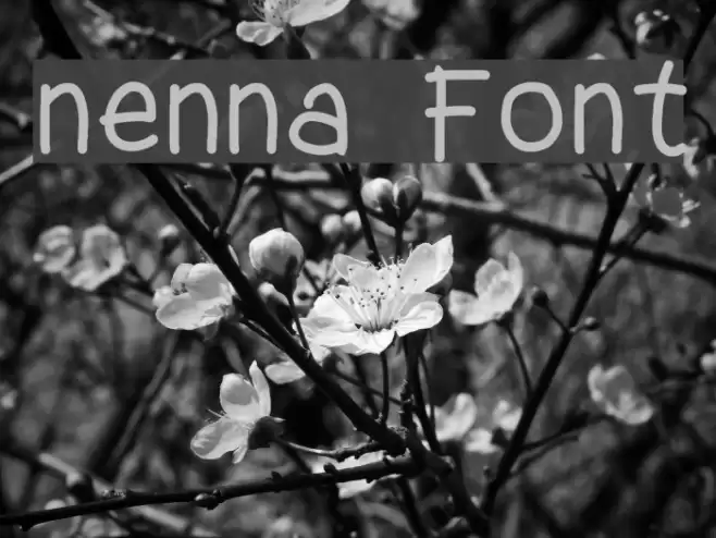 nenna Font examples