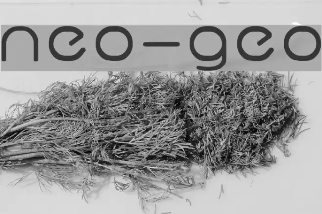 neo-geo Font examples