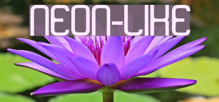 neon-like Font examples