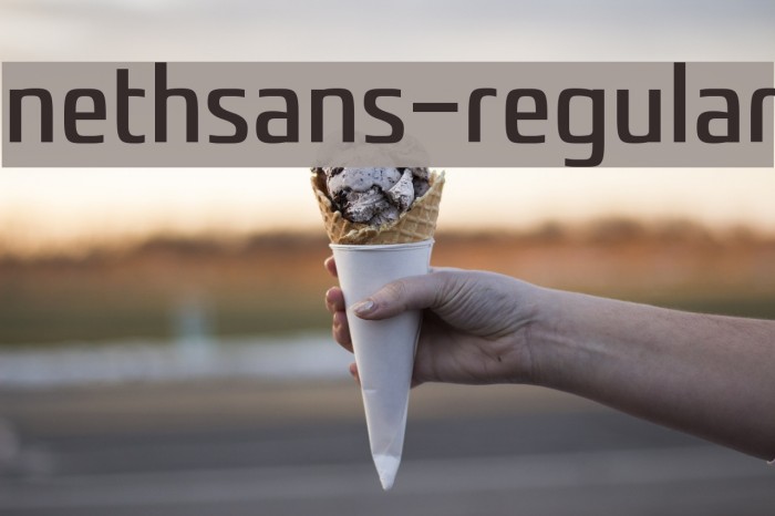 nethsans-Regular Font examples