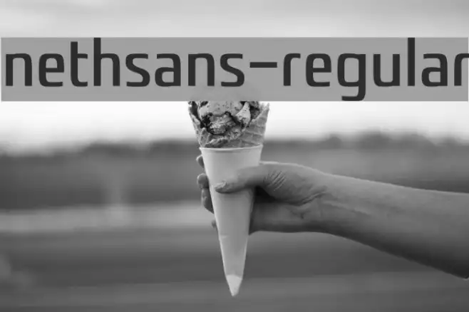 nethsans-Regular Example 2