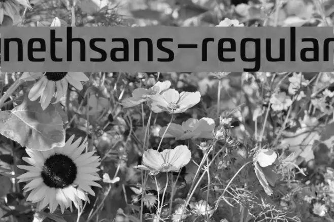 nethsans-Regular Example 3