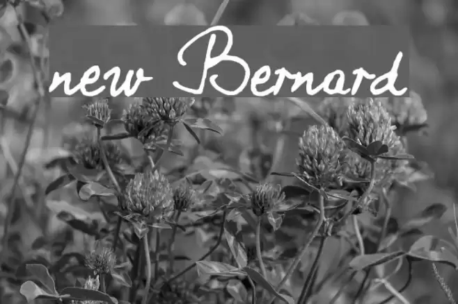 new Bernard Font examples