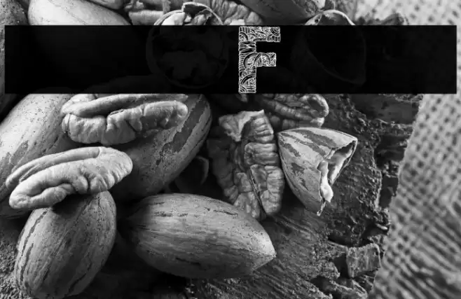 new Font Caratteri examples