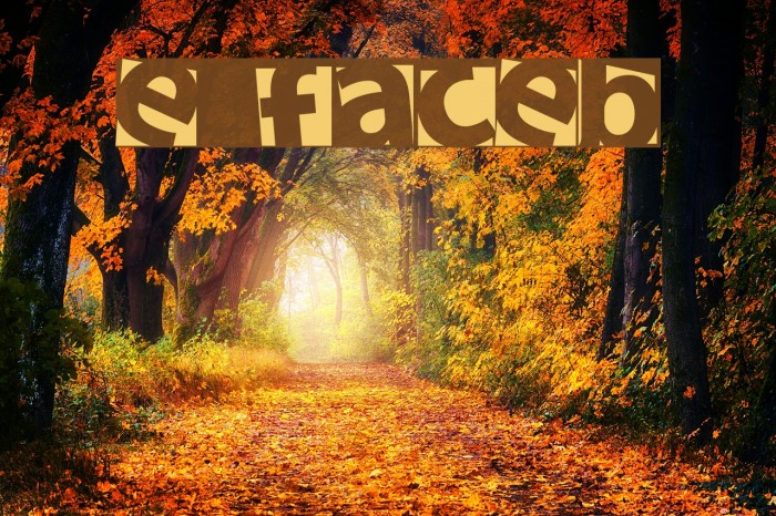 new facebook Font examples