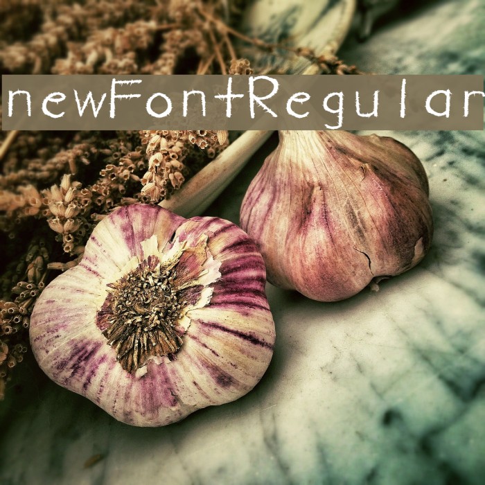 newFont-Regular Font examples