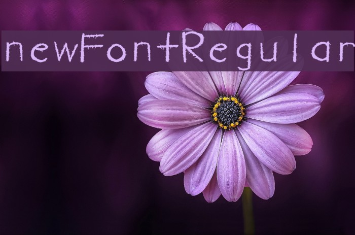 newFont-Regular Font examples