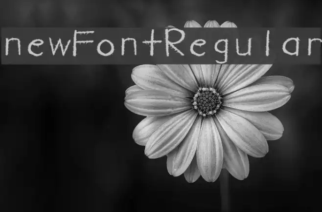 newFont-Regular Example 3