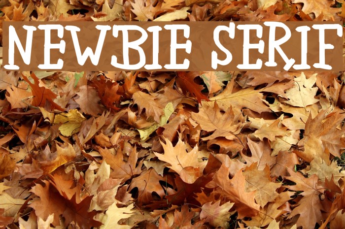 newbie serif Example 1