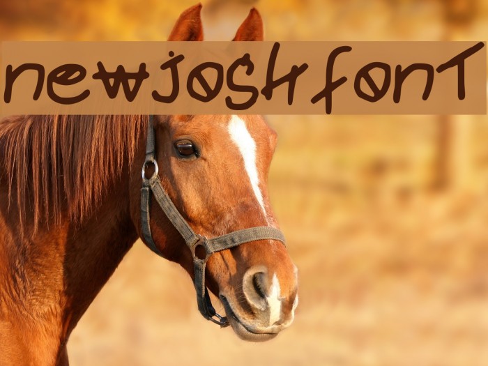 newjoshfont Font examples