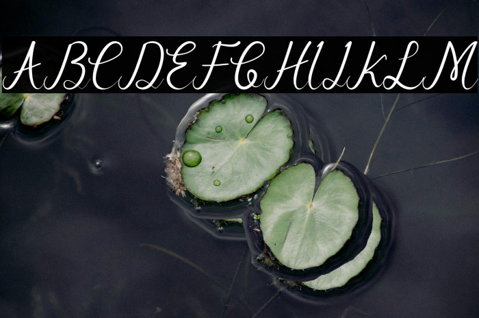 newlettering-ArtDesign Example 3