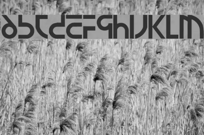 newsiren Font examples