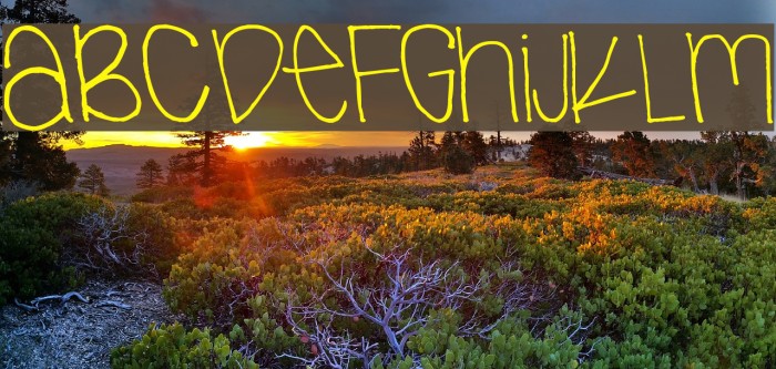 next Font examples