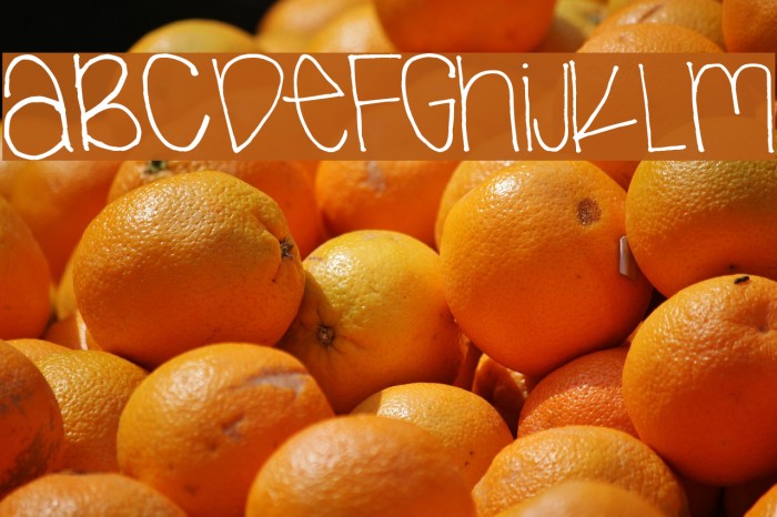 next Font examples