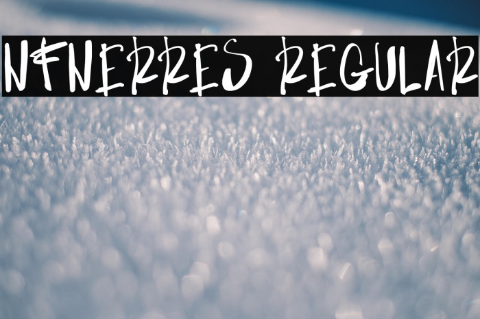 NF-NERRES Regular Example 2