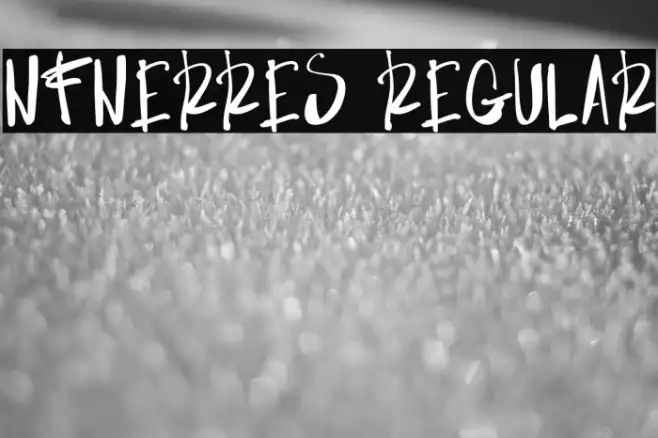 NF-NERRES Regular Example 2