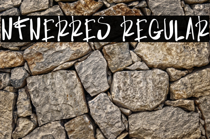 NF-NERRES Regular Example 3